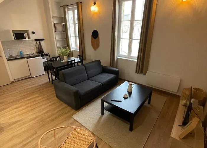 Superbe Duplex Au Pied Du Tram Et De La Gare Apartment
