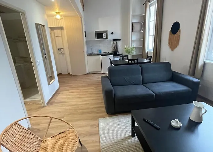 Appartement Superbe Duplex Au Pied Du Tram Et De La Gare