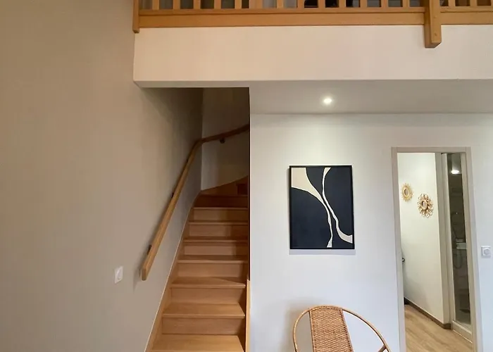 Superbe Duplex Au Pied Du Tram Et De La Gare Appartement *