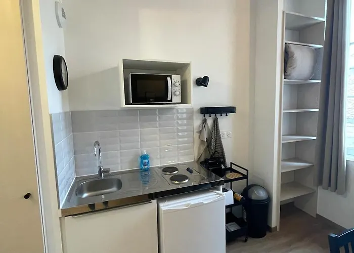 Superbe Duplex Au Pied Du Tram Et De La Gare Appartement