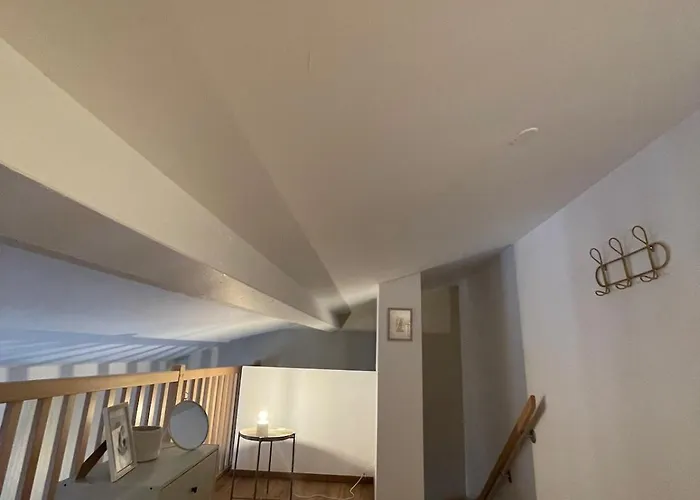 Superbe Duplex Au Pied Du Tram Et De La Gare Appartement